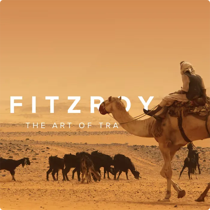 Design & Web Design of Safari Travel Company