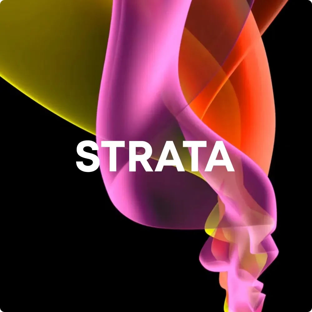 Web Design Brand Experience Agency